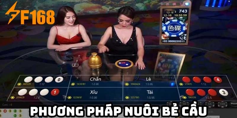 Phương pháp nuôi bẻ cầu